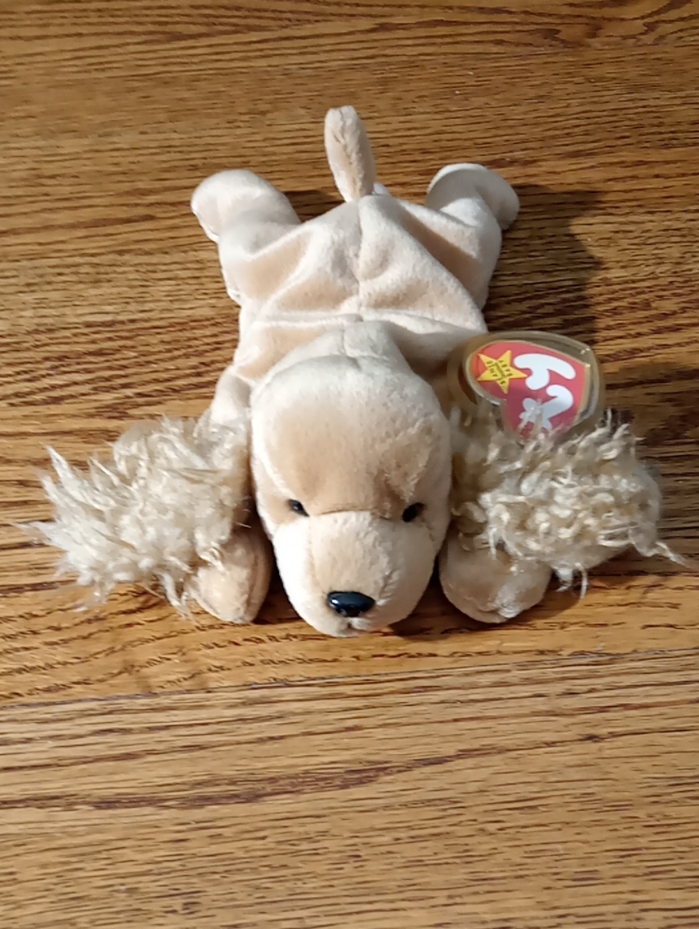 ✨️TY Beanie Baby Beige Puppy Plush Toy - Soft Cocker Spaniel✨️